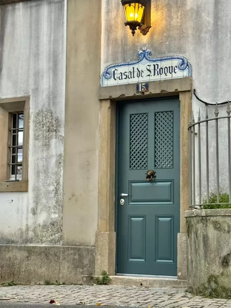 Žalios pastatos durys